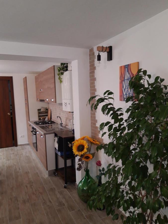 In Vino Veritas Sulmona Kültér fotó