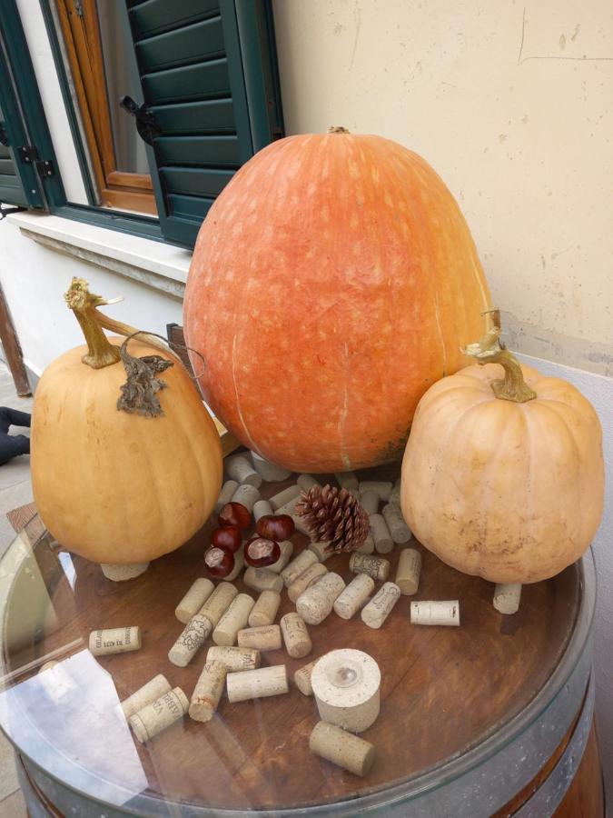 In Vino Veritas Sulmona Kültér fotó